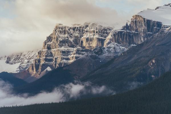 Pure Mountain Honey