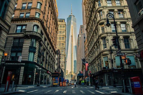 Organic Tomatoes